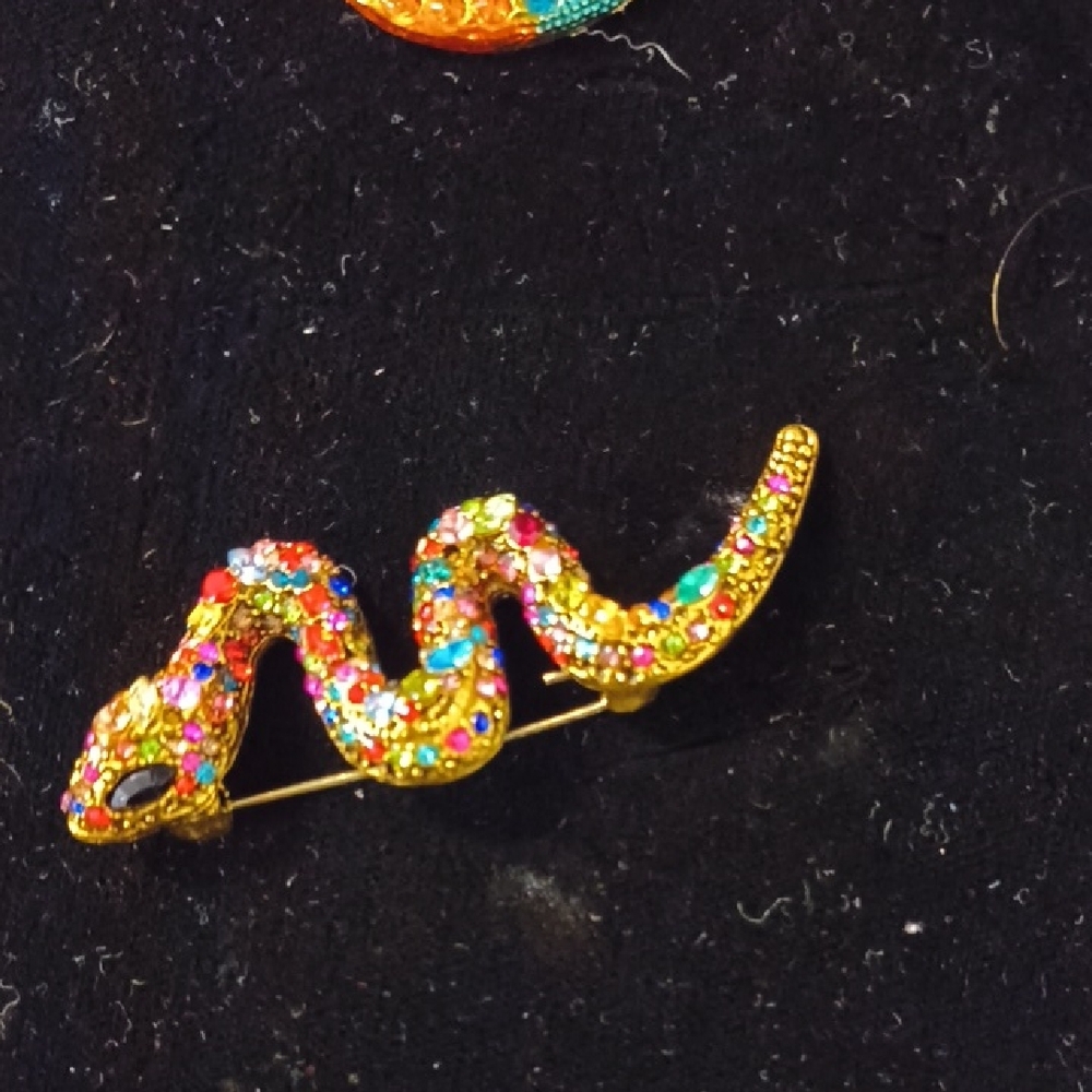 Colorful Snake Brooch